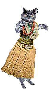 bitzhula-an.gif